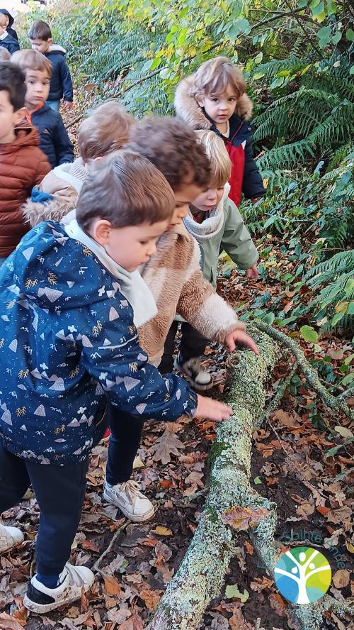 Les élèves de petite section à la recherche de l'automne